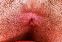 ATK hairy  in scary hairy