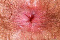 ATK hairy  in scary hairy