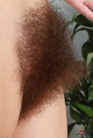 ATK hairy  in scary hairy