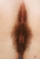 ATK hairy Pearl Sage Set