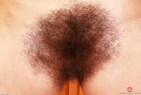 ATK hairy Pearl Sage Set