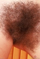 ATK hairy Pearl Sage Set