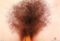 ATK hairy  in scary hairy