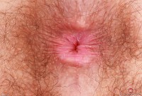 ATK hairy Pearl Sage Set