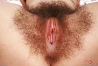 ATK hairy  in scary hairy