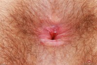 ATK hairy Pearl Sage Set