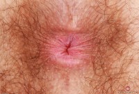 ATK hairy Pearl Sage Set