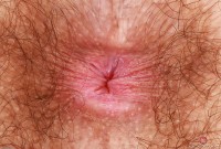 ATK hairy Pearl Sage Set