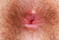 ATK hairy Pearl Sage Set