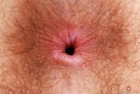 ATK hairy Pearl Sage Set