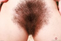 ATK hairy Pearl Sage Set