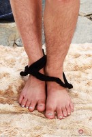 ATK hairy Pearl Sage Set