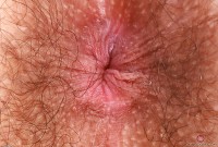 ATK hairy Pearl Sage Set