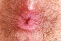 ATK hairy Pearl Sage Set