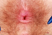 ATK hairy Pearl Sage Set