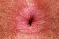 ATK hairy Pearl Sage Set