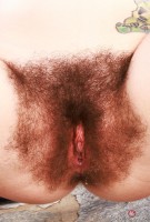 ATK hairy Pearl Sage Set