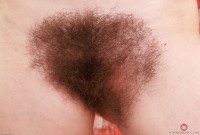 ATK hairy  in scary hairy