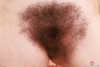 ATK hairy Pearl Sage Set
