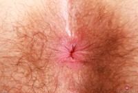 ATK hairy Pearl Sage Set