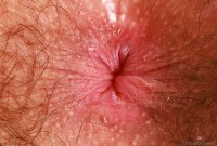 ATK hairy Pearl Sage Set