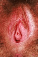 ATK hairy Pearl Sage Set