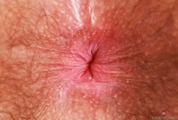 ATK hairy Pearl Sage Set