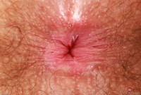 ATK hairy Pearl Sage Set