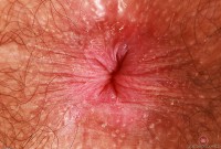 ATK hairy Pearl Sage Set