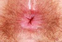 ATK hairy Pearl Sage Set