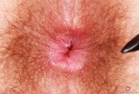 ATK hairy Pearl Sage Set