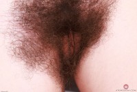 ATK hairy Pearl Sage Set