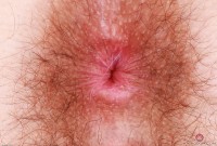 ATK hairy Pearl Sage Set