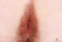 ATK hairy  in scary hairy