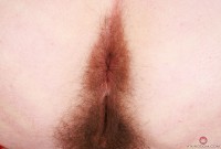 ATK hairy  in scary hairy