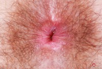 ATK hairy Pearl Sage Set