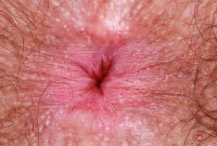 ATK hairy Pearl Sage Set