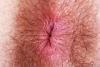 ATK hairy Pearl Sage Set