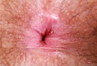 ATK hairy  in scary hairy