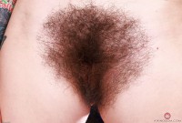 ATK hairy Pearl Sage Set