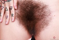 ATK hairy  in scary hairy