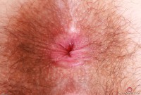 ATK hairy Pearl Sage Set