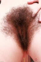 ATK hairy Pearl Sage Set