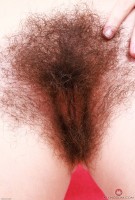 ATK hairy Pearl Sage Set