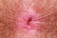 ATK hairy  in scary hairy