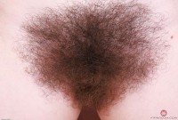 ATK hairy  in scary hairy