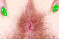 ATK hairy Pearl Sage in scary hairy