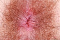 ATK hairy  in scary hairy