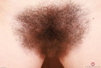 ATK hairy Pearl Sage in scary hairy