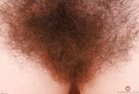 ATK hairy Pearl Sage Set